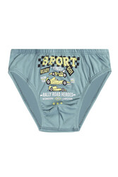 Özkan 31801 5'li Paket Erkek Çocuk Karışık Renkli Desenli Pamuklu Yumuşak Rahat Slip Külot - Thumbnail