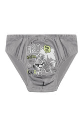 Özkan 31801 5'li Paket Erkek Çocuk Karışık Renkli Desenli Pamuklu Yumuşak Rahat Slip Külot - Thumbnail