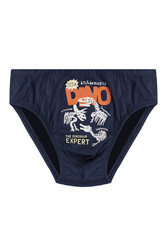 Özkan 31801 5'li Paket Erkek Çocuk Karışık Renkli Desenli Pamuklu Yumuşak Rahat Slip Külot - Thumbnail