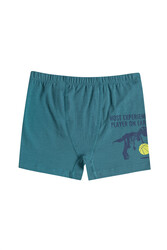 Özkan 31802 5'li Paket Erkek Çocuk Pamuklu Karışık Renkli Desenli Yumuşak Rahat Şort Boxer - Thumbnail