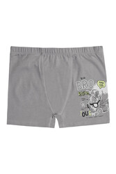 Özkan 31802 5'li Paket Erkek Çocuk Pamuklu Karışık Renkli Desenli Yumuşak Rahat Şort Boxer - Thumbnail