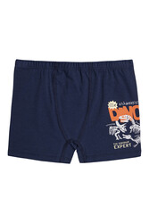 Özkan 31802 5'li Paket Erkek Çocuk Pamuklu Karışık Renkli Desenli Yumuşak Rahat Şort Boxer - Thumbnail