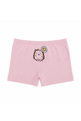 Özkan Underwear - Özkan 41602 5'li Paket Kız Çocuk Karışık Renkli Desenli Pamuklu Yumuşak Rahat Şort Boxer (1)