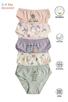 Özkan Underwear - Özkan 41603 5'li Paket Kız Çocuk Karışık Renkli Desenli Pamuklu Yumuşak Slip Külot (1)
