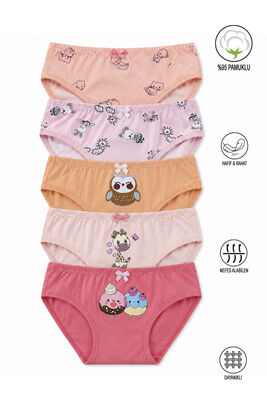 Özkan Underwear - Özkan 41603 5'li Paket Kız Çocuk Karışık Renkli Desenli Pamuklu Yumuşak Slip Külot