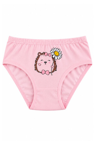 Özkan 41603 5'li Paket Kız Çocuk Karışık Renkli Desenli Pamuklu Yumuşak Slip Külot (1)