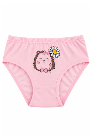Özkan 41603 5'li Paket Kız Çocuk Karışık Renkli Desenli Pamuklu Yumuşak Slip Külot (1)