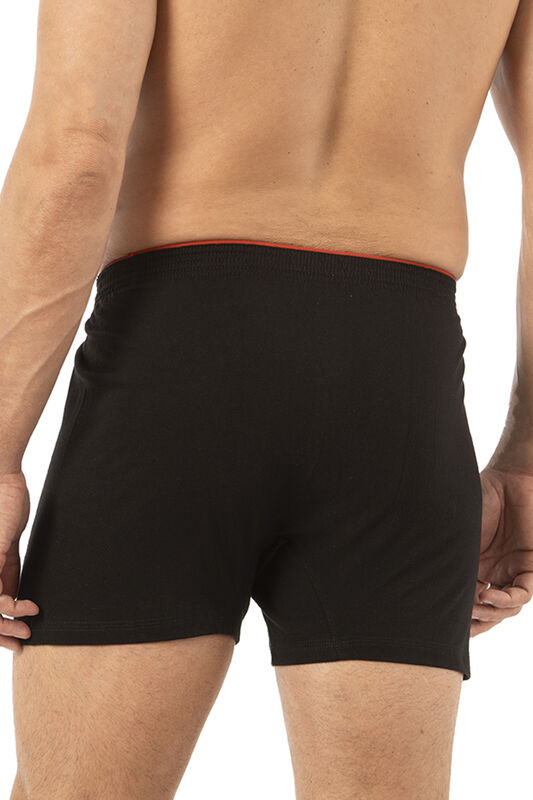 Özkan 0041 Erkek %100 Pamuklu Şardonlu Klasik Rahat Kesim Havlu Bel Süprem Penye Boxer - 30